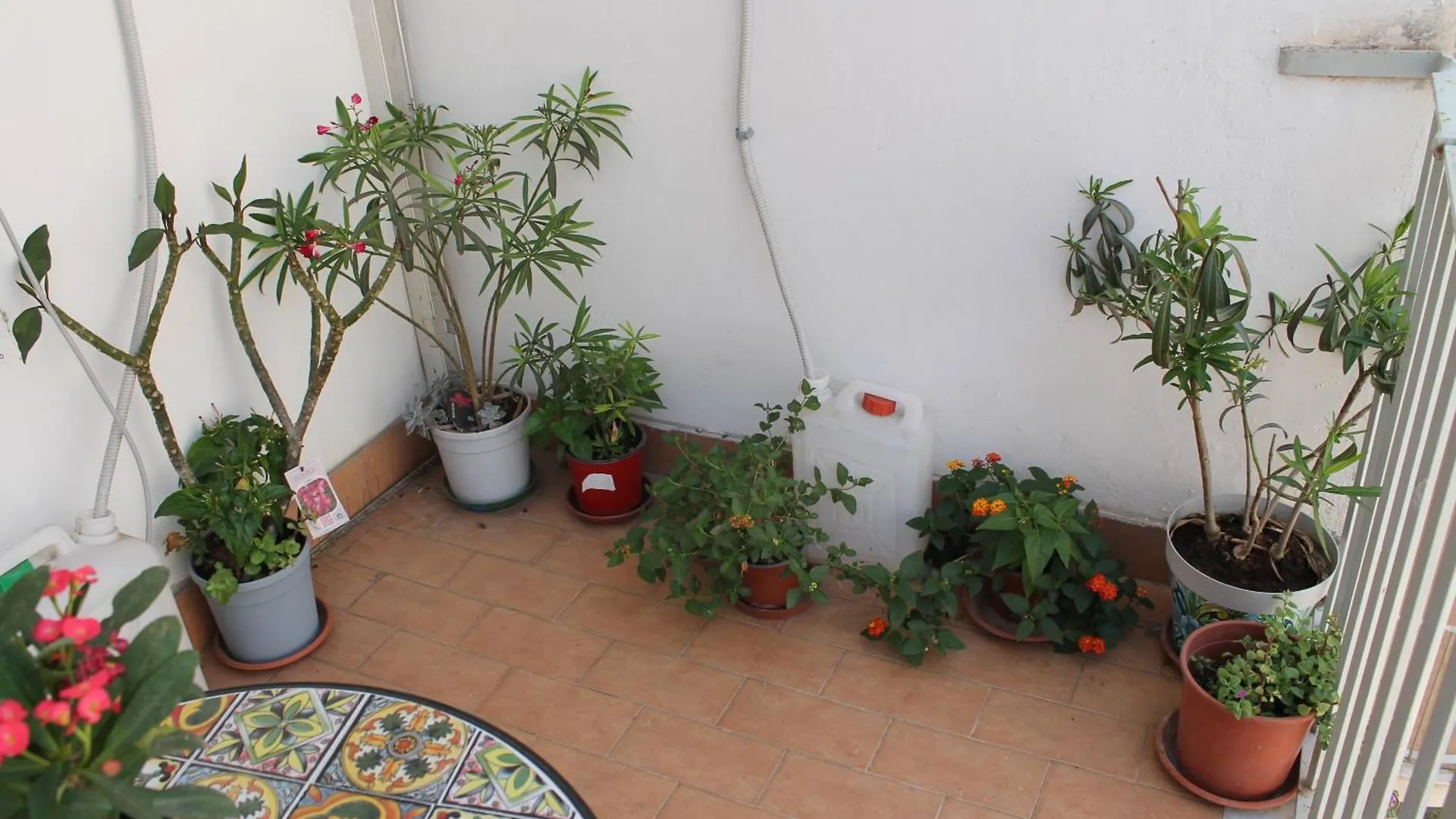 Penzion B&B Domus Pina Katánie