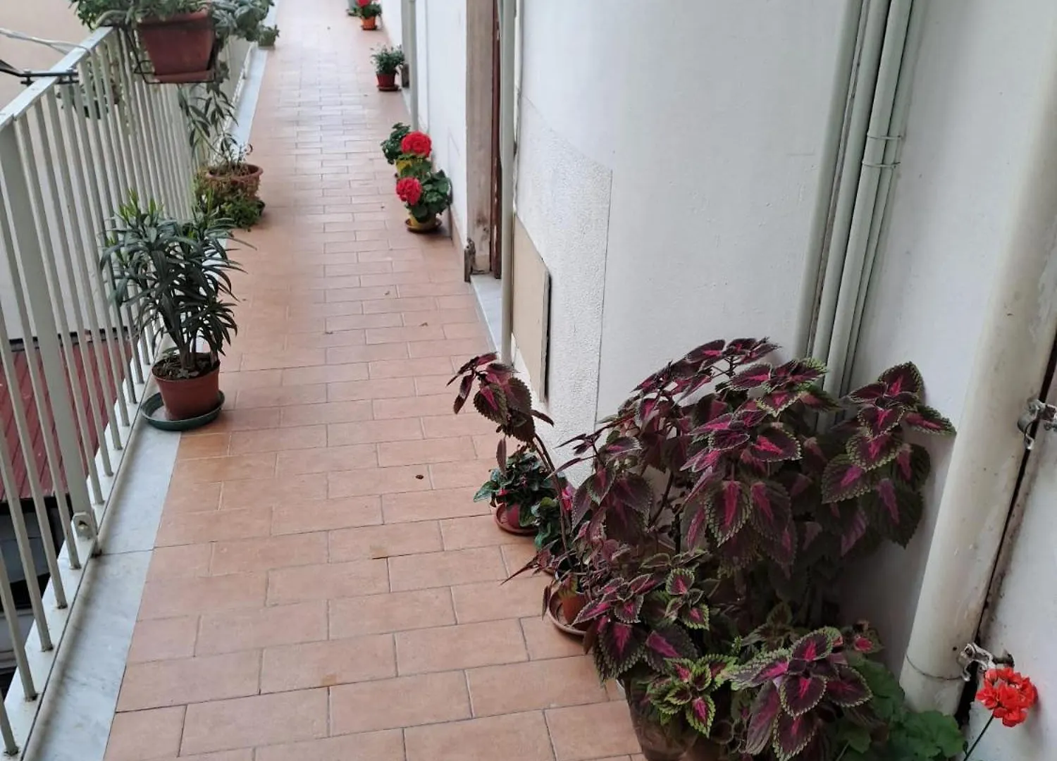 B&B Domus Pina CTA