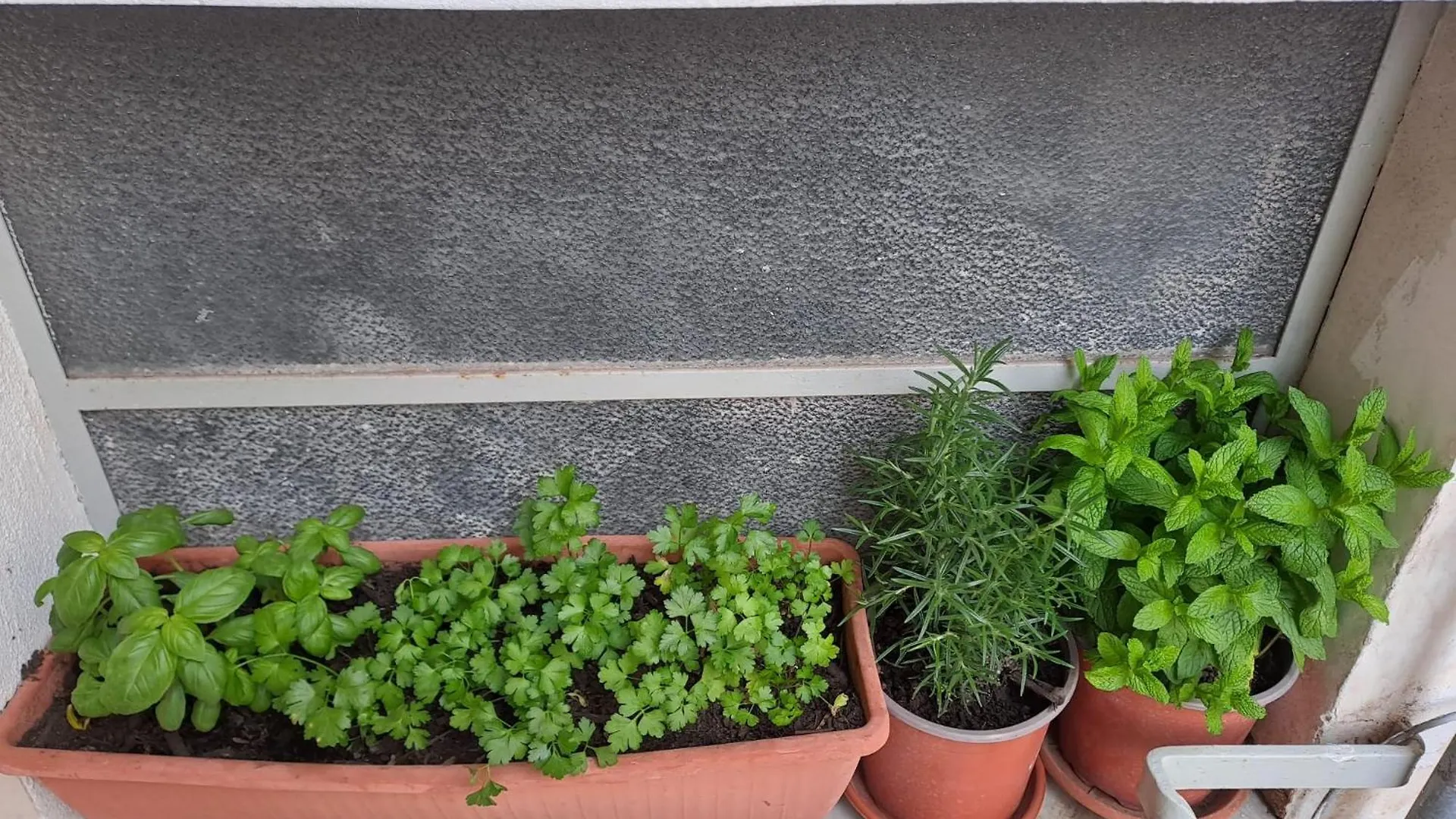 B&B Domus Pina CTA Italien