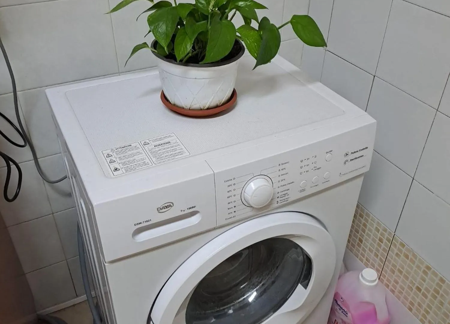 Affittacamere B&B Domus Pina Catania Italia