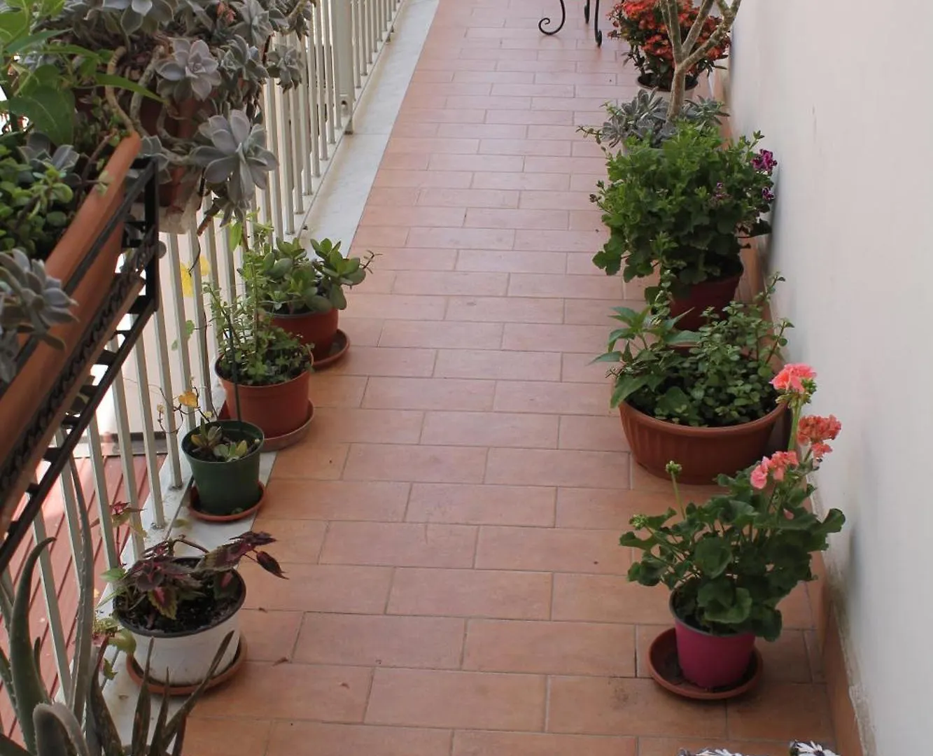 B&B Domus Pina Catania